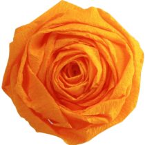 Clairefontaine 903016C Superior Crepe Paper Roll, 10 Sheets - Gold yellow, 50x10x8 cm