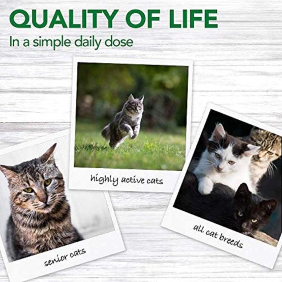 Vet's Best Multi-system support Cat Supplement Gel Promotes Healthy Immune System, 100g - Image 4