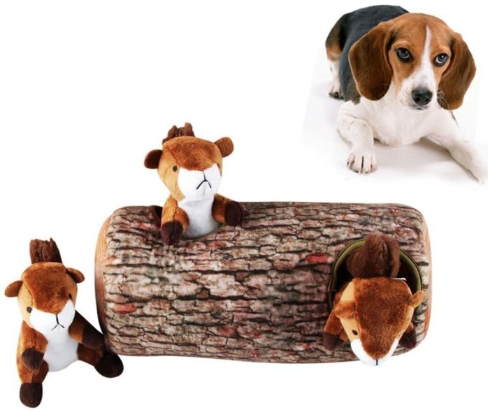 hide and seek squirrel dog toy