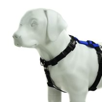 Blue-9 Balance Harness Buckle Neck, Medium, Blue