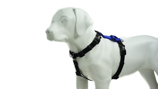 Blue-9 Balance Harness Buckle Neck, Medium, Blue