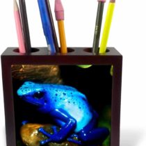 3dRose Sunset Over The Gulf of Mexico, Gulf Islands National Seashore, Fl - Tile Pen Holder, 5-Inch (Ph_259204_1)