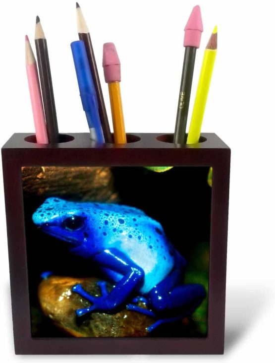 3dRose Sunset Over The Gulf of Mexico, Gulf Islands National Seashore, Fl - Tile Pen Holder, 5-Inch (Ph_259204_1)