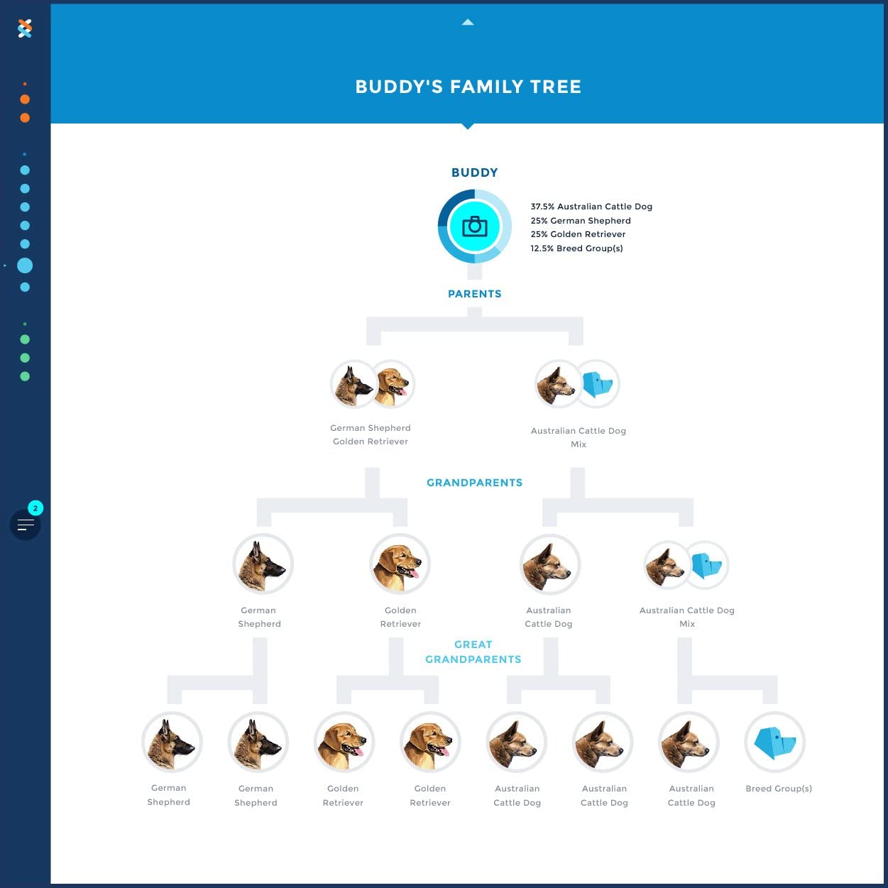 Wisdom Panel 2.0 Dog DNA test - Image 2