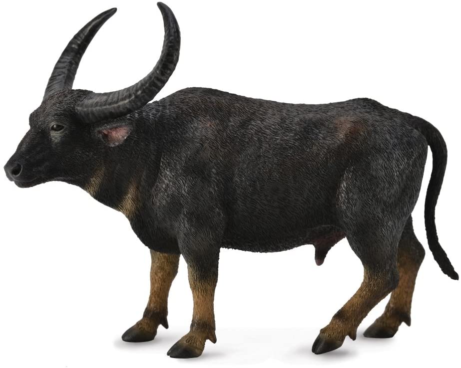 CollectA Wild Water Buffalo, Multicolor