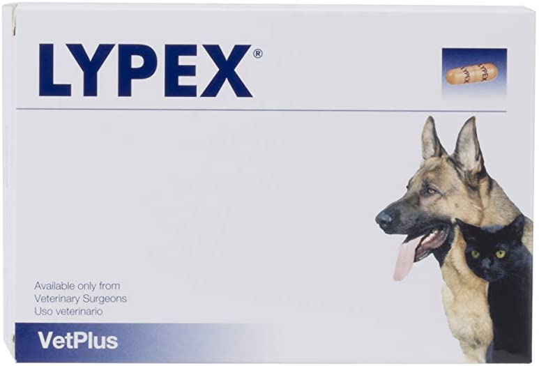 Lypex Capsules for Dogs and Cats 60 Pack, 60 count (Pack of 1)