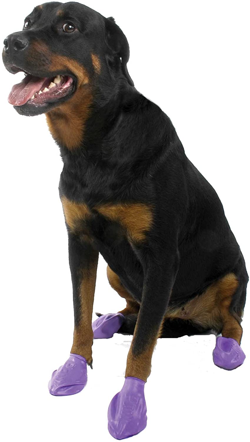 Large Pawz Durable All Weather Dog Boots (12 boots), Purple - Image 2
