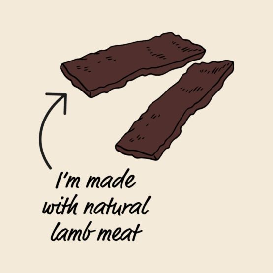 Good Boy - Tender Lamb Fillets - Dog Treats - Made with Natural Lamb Meat - 80 g ℮ - Low Fat Dog Treats - Case of 10 - Image 4