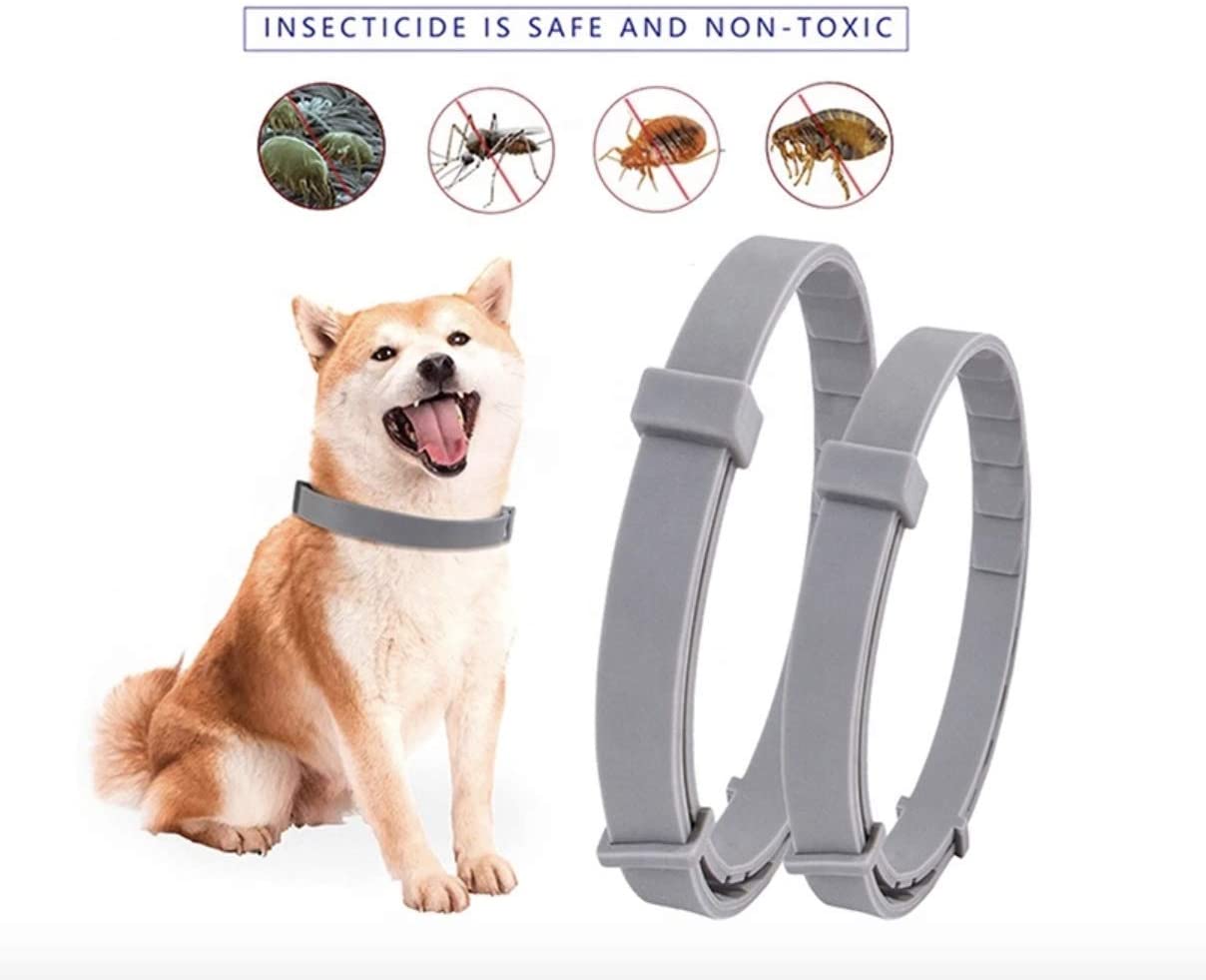 Pestects Flea Treatment for Dogs, 8 Months Flea Collar for Dogs Small