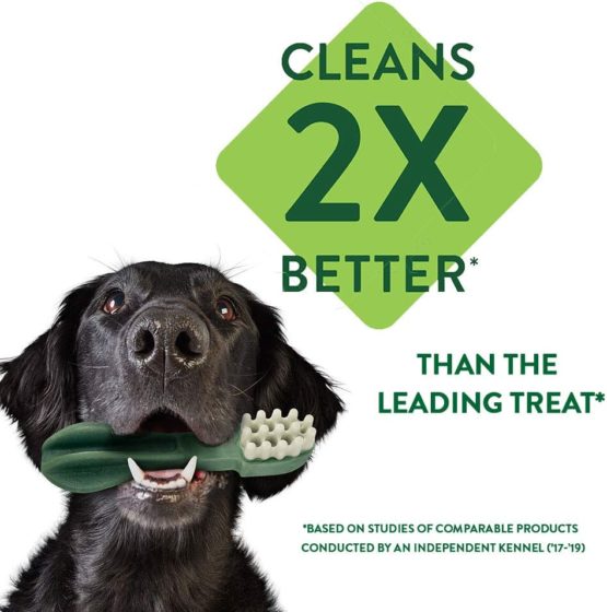 WHIMZEES Natural Dental Dog Chews Long lasting, Large Hedgehog, 6 Pieces - Image 3