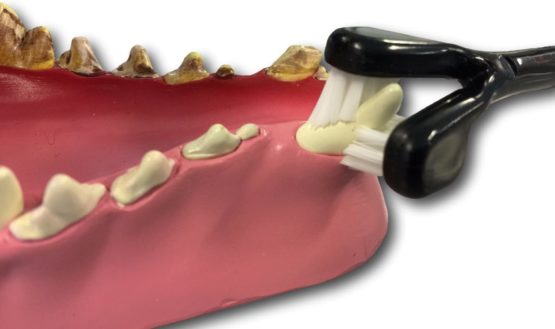 Petosan Dental Care Kit for Small Dogs - Image 2