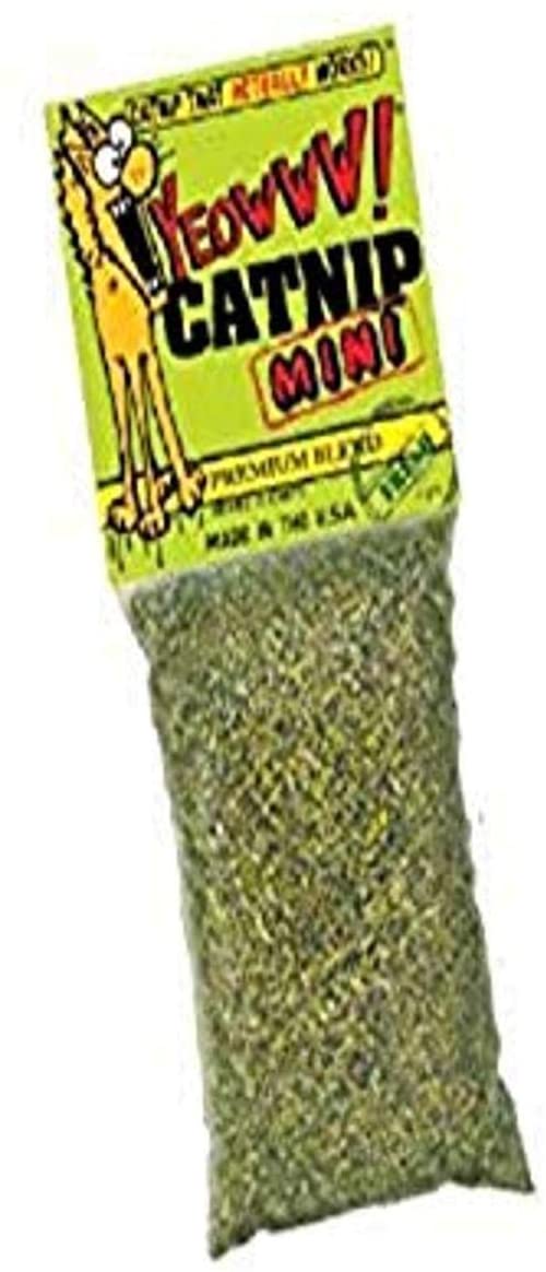 Single Mini Catnip, Clear