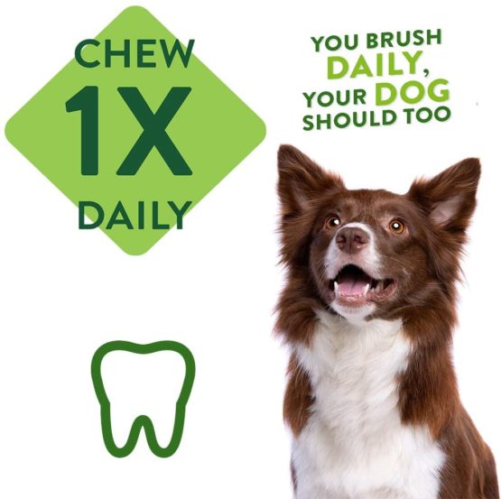 WHIMZEES Natural Dental Dog Chews Long lasting, Medium Alligator, 12 Pieces - Image 2