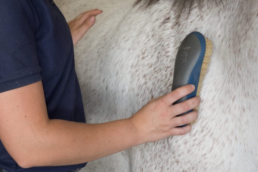 Jarden Consumer Solutions Oster Soft Grooming Brush Blue Other - 78399-110, Clear, Regular - Image 3