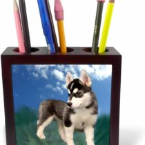 3dRose ph_4439_1 5-Inch"Siberian Husky Puppy" Tile Pen Holder
