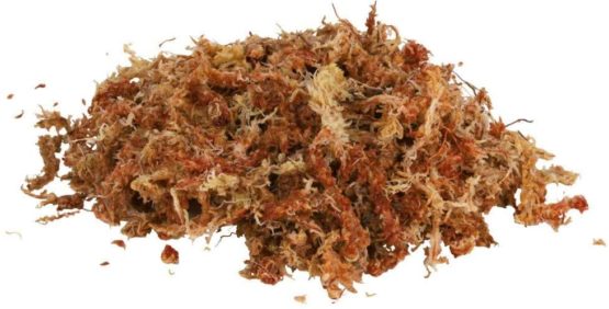Trixie Sphagnum Moss Tropical Terrarium Substrate Brick, 100g - Image 4