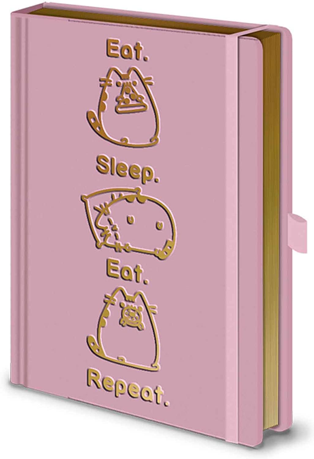 Pusheen (Eat. Sleep. Eat. Repeat. A5 Premium Notebook, Multi-Colour