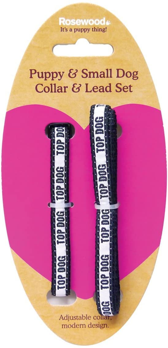 Rosewood Td Puppy Collar and Lead Set, multi