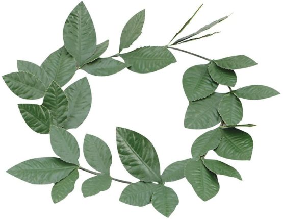 Bristol Novelty BA480 Green Laurel Leaf Headband, One Size