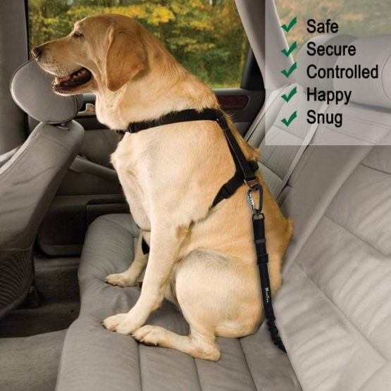 SlowTon Dog Seatbelt, Pet Car Seat Belt Latch Bar Attachment Lockable Swivel Carabiner for Small Medium Large Dogs Adjustable Elastic Bungee Safety Belt with Reflective Stitching Connect Harness… - Image 3