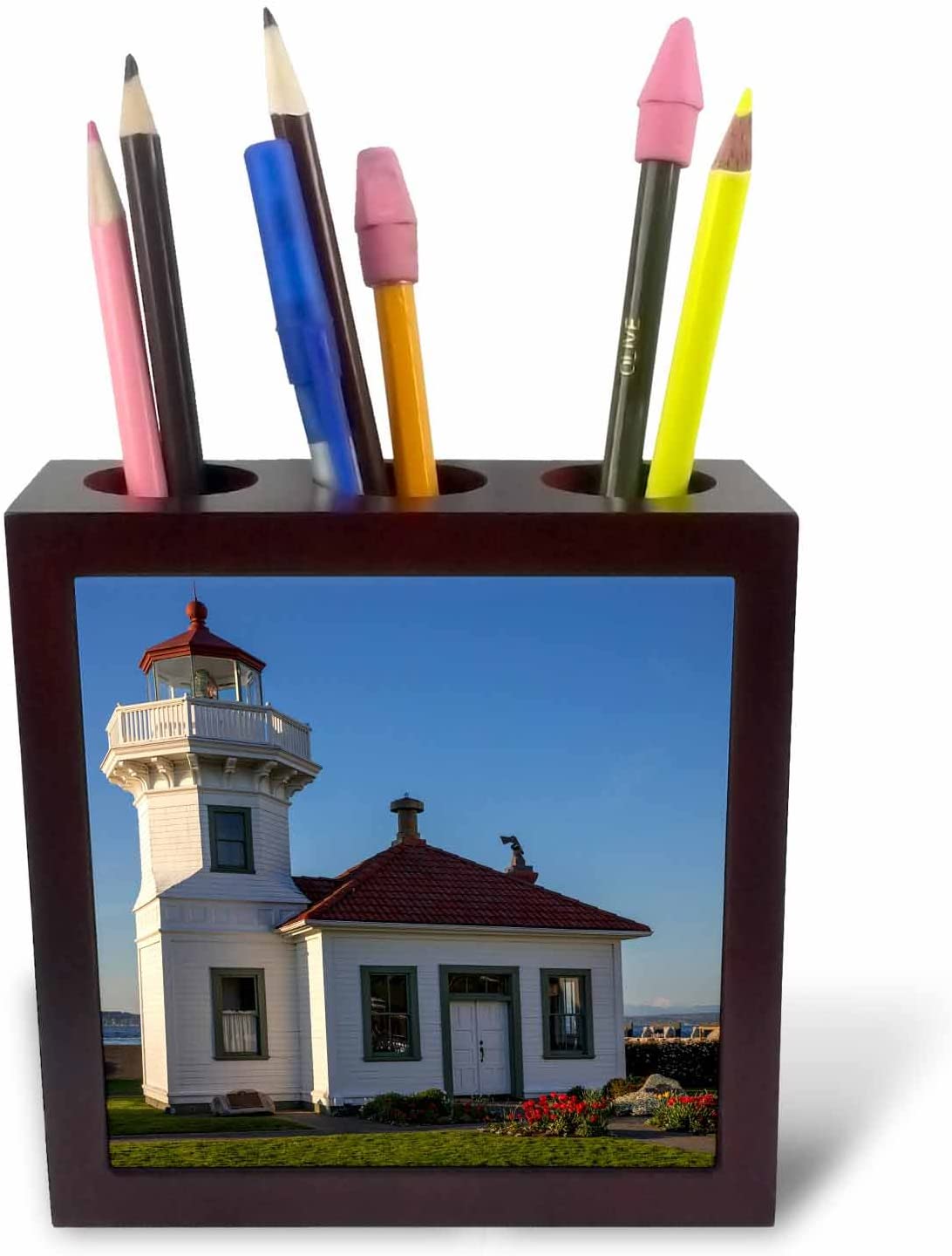 3dRose Pop Art Grey Green Aloe Inch (Ph_260793_1), 5" Tiles Pen Holder, Clear