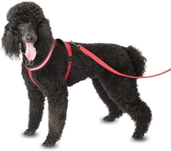 COA Comfy Harness, Toy