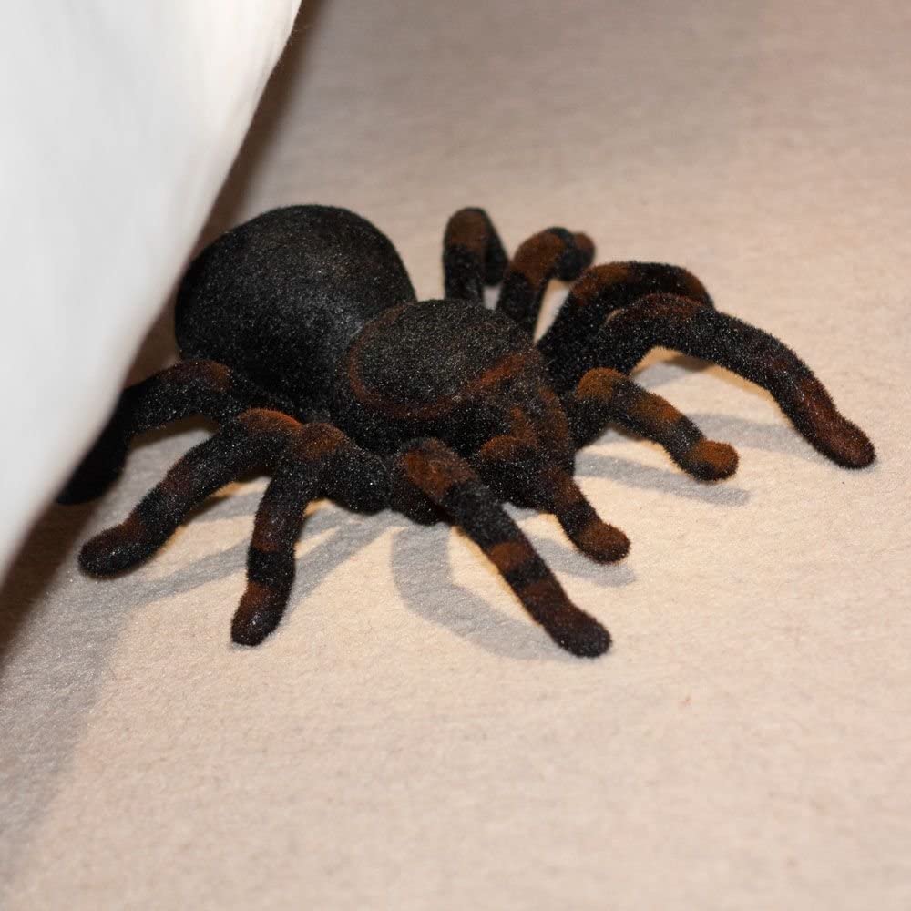 Tarantula Radio Control, Nylon/a - Image 3