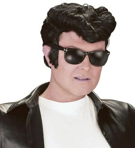 Bristol Novelty BW686 Greaser Wig, Black, One Size