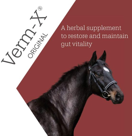 Verm-X Pellets for Horses and Ponies, 250 g - Image 4