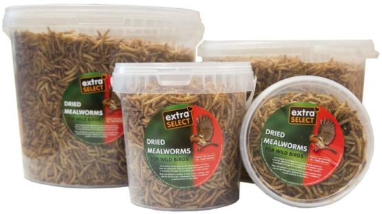 Extra Select Dried Mealworms Wild Bird Feed Treat, 5 Litre - Image 2