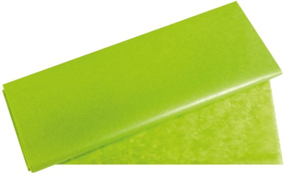 Rayher 67270417 Tissue paper, Hauser light green