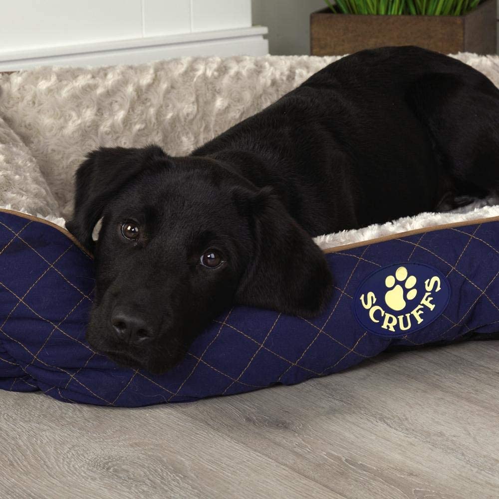 Scruffs Wilton Dog Bed, Small, 50 x 40 cm, Blue - Image 3