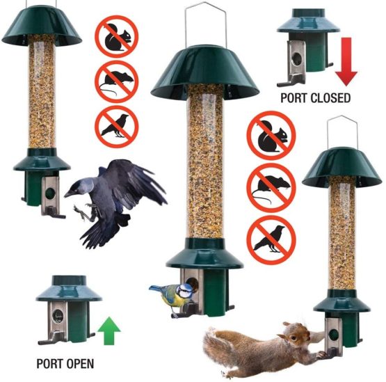 Squirrel Proof Wild Bird Feeder - Roamwild PestOff (Mixed Seed / Sunflower Heart Feeder) - Image 3