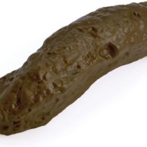 Bristol Novelty GJ440 Toilet Seat Turd Joke Accessory Set, Unisex-Adult, Brown, One Size