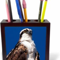 3dRose USA, California, San Diego, Lakeside Blue Heron Flying-Tile Pen Holder, 5-Inch (Ph_205397_1), ceramic, 5 Inches