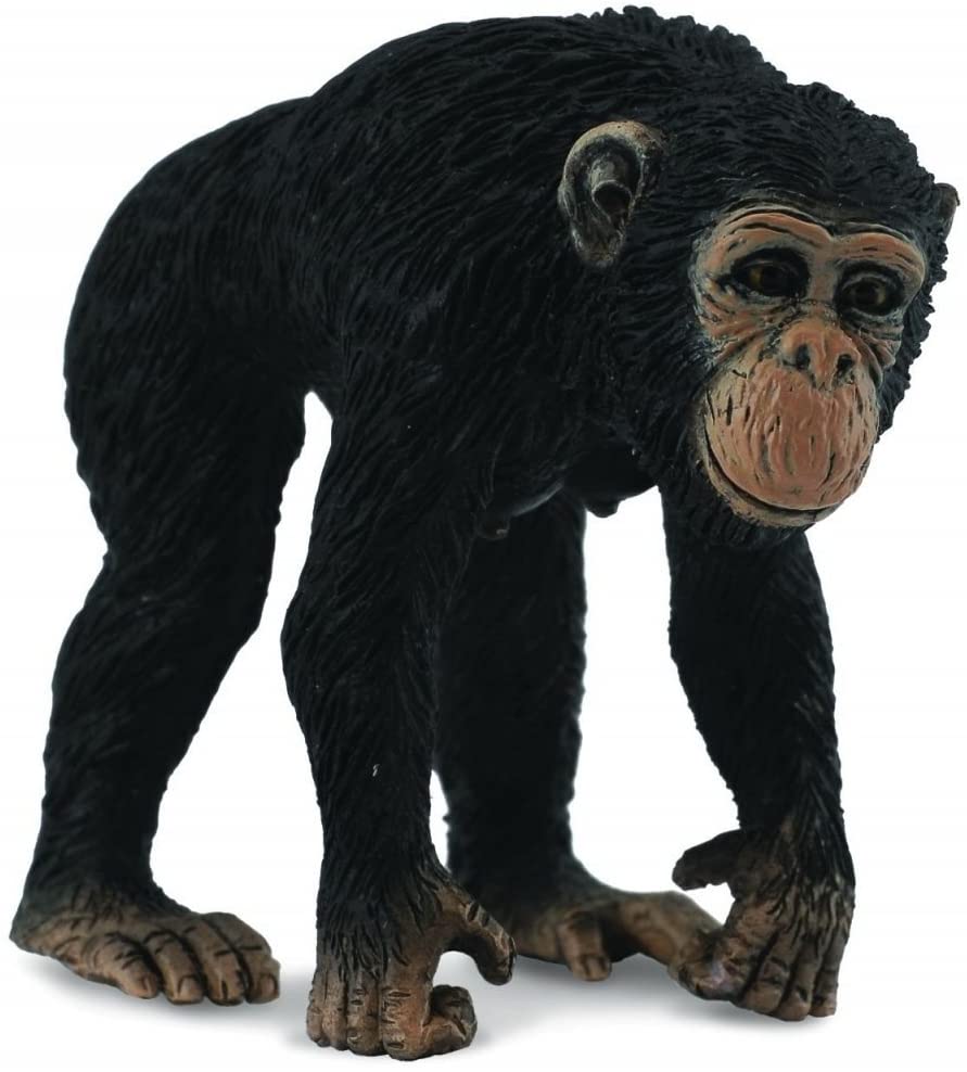 CollectA Chimpanzee Female, Multicolour