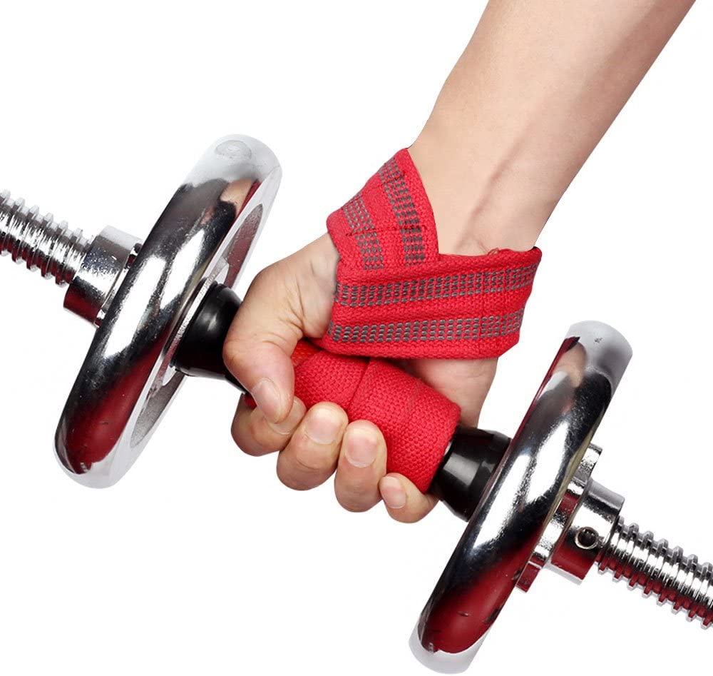 summer free ride 24 hour fitness