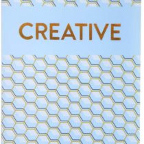 Exacompta 85230E – Semi-Rigid Welded Presentation Book Copper Time, 80 Views 24 x 32 cm, Polypropylene Cover Random Colour