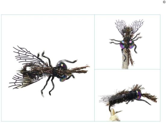YZD Realistic Fly Fishing Flies Set Dry Mosquito Bottle Flies Bumble Wasp Steelhead Rainbow Trout Handmade Fishing Lure Flyfishing - Image 4