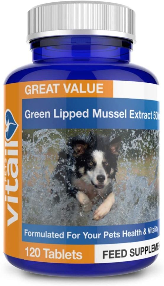 Green Lipped Mussel for Dogs, 500mg. 120 Tablets. Formulated for Your Dogs Health and Vitality.