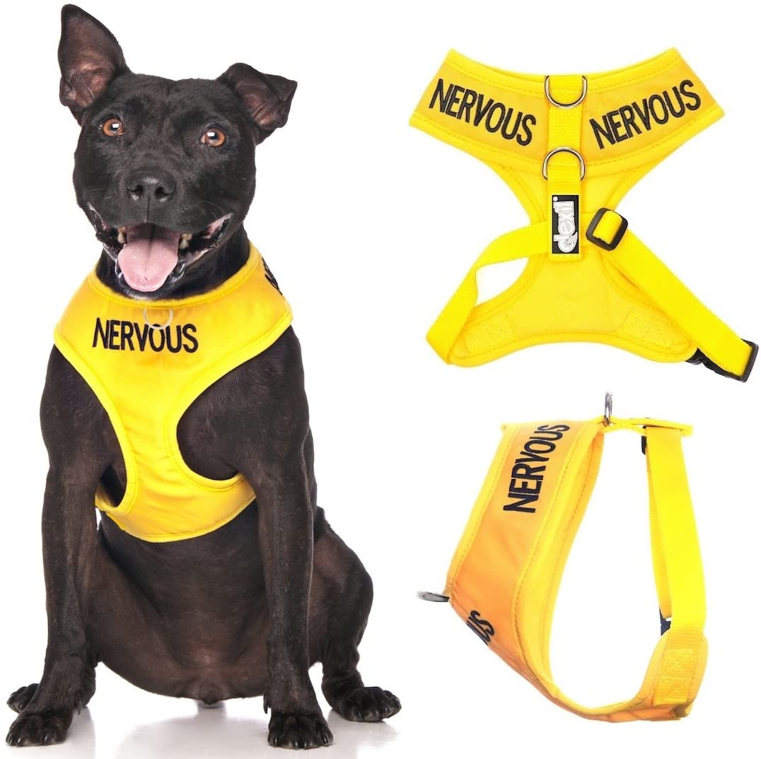Dexil NERVOUS (Give Me Space) Yellow Colour Coded Non-Pull Front and Back D Ring Padded and Waterproof Vest Dog Harness PREVENTS Accidents By Warning Others Of Your Dog In Advance (M)
