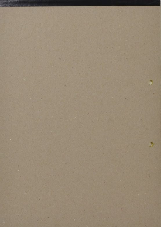 RHINO Stationery Special Education Refill Pad | A4 | Green Tinted Paper | 100 Page | 8mm Ruled with Margin | School Notepad | Pack of 1 - Image 2