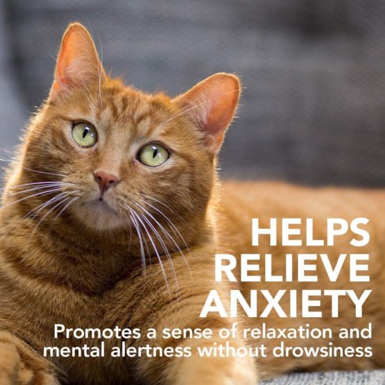 Vet's Best Comfort Calm Calming Cat Supplement - Promotes Relaxation and Balanced Behaviour, 100g - Image 3