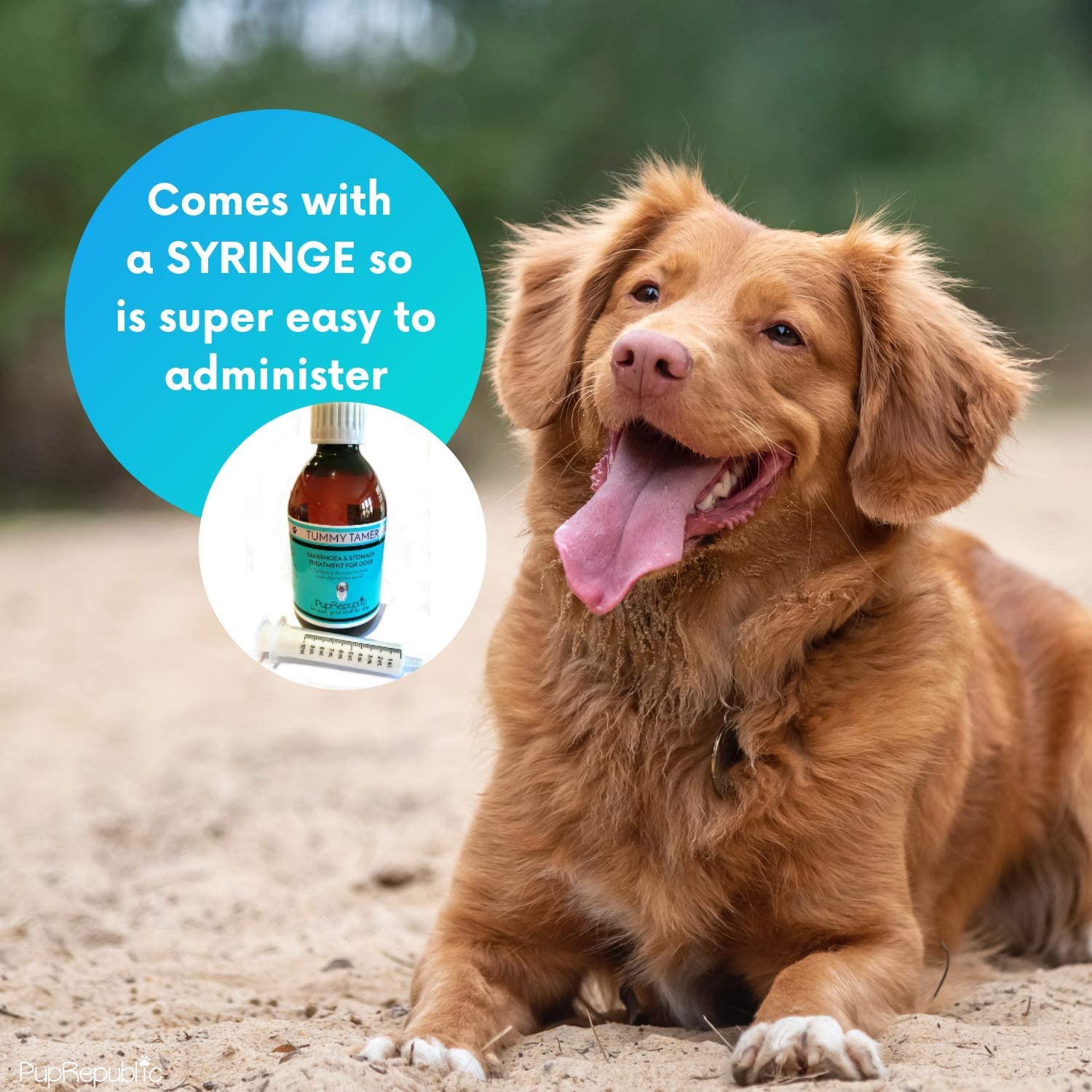 PupRepublic Fast Acting dog diarrhea treatment, Digestive Disorders, More Effective than Kaolin - Image 4