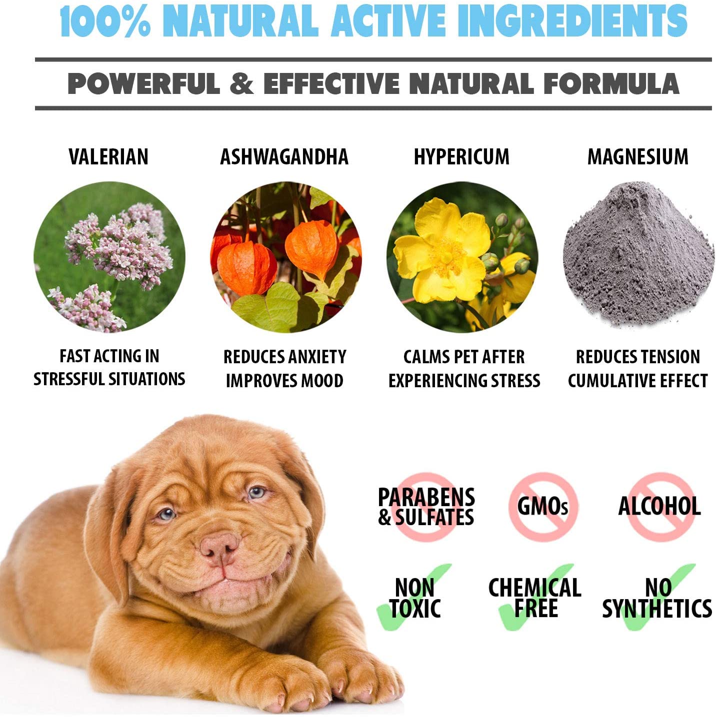 Pets Purest Dog Calming Drops, 100% Natural Cat & Dog Anxiety Relief Calming Oil for Dogs Cats & Pets. Soothe Stressed - Image 4