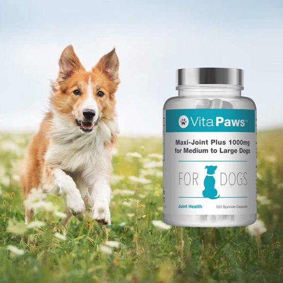 Maxi-Joint Plus 1000mg VitaPaws™ 120 Sprinkles Capsules | Advanced Joint Support for Medium to Large Dogs | 100% Money Back Guarantee | Manufactured in The UK - Image 4