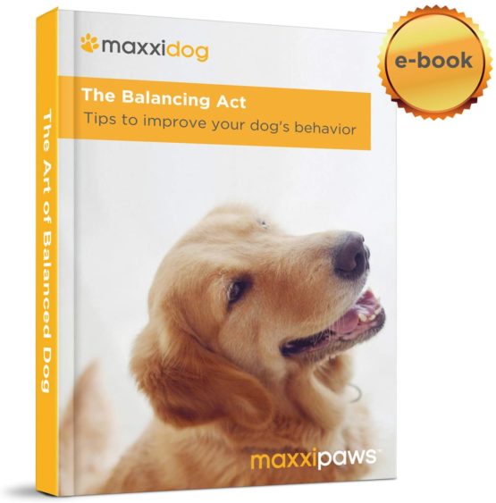 maxxipaws maxxicalm Natural Non-Drowsy Calming Aid Supplement for Dogs with Behavioural Training Guide - 120 Tasty Tablets - Image 2