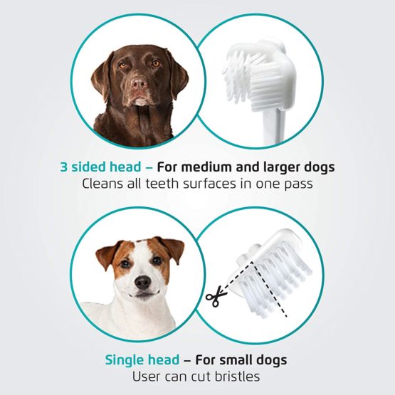 Cleany Teeth Replacement Brush Heads - Image 3