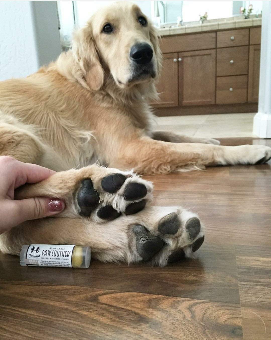 Natural Dog Company Paw Soother Dry, Cracked, Irritated Dog Paw Pads Organic, AllNatural