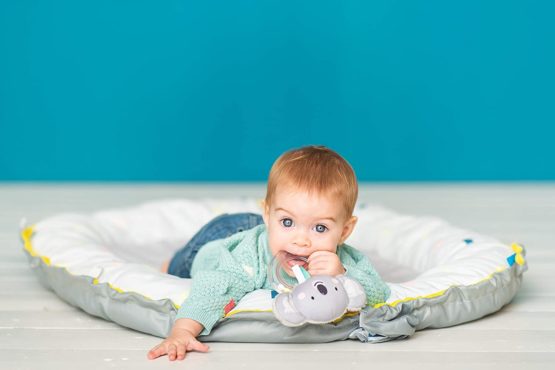 Taf Toys Kimmy Koala Rattle - Image 3